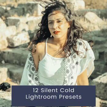 12 Silent Cold Lightroom Presets