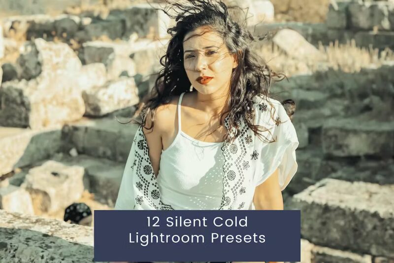 12 Silent Cold Lightroom Presets