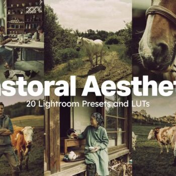 20 Pastoral Aesthetic Lightroom Presets and LUTs
