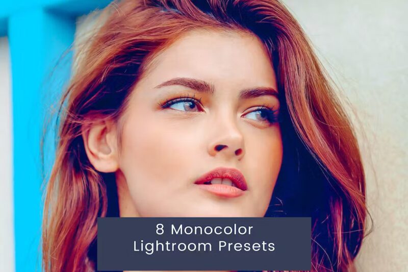 8 Monocolor Lightroom Presets