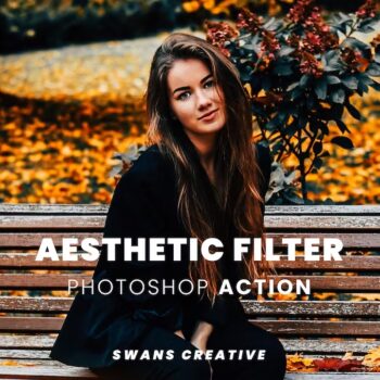 Aesthetic Filter Photoshop Action