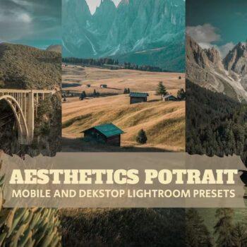 Aesthetics Potrai Lightroom Presets Dekstop Mobile