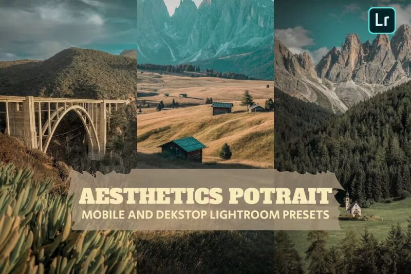 Aesthetics Potrai Lightroom Presets Dekstop Mobile