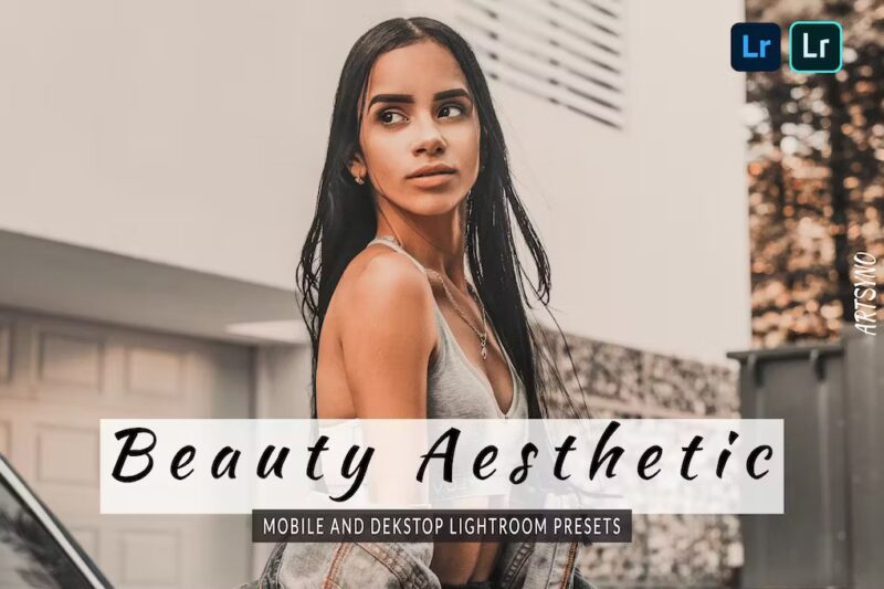 Beauty Aesthetic Lightroom Presets Dekstop Mobile