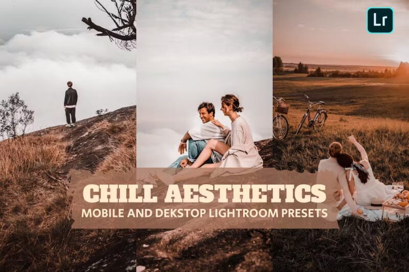 Chill Aesthetics Lightroom Presets Dekstop Mobile