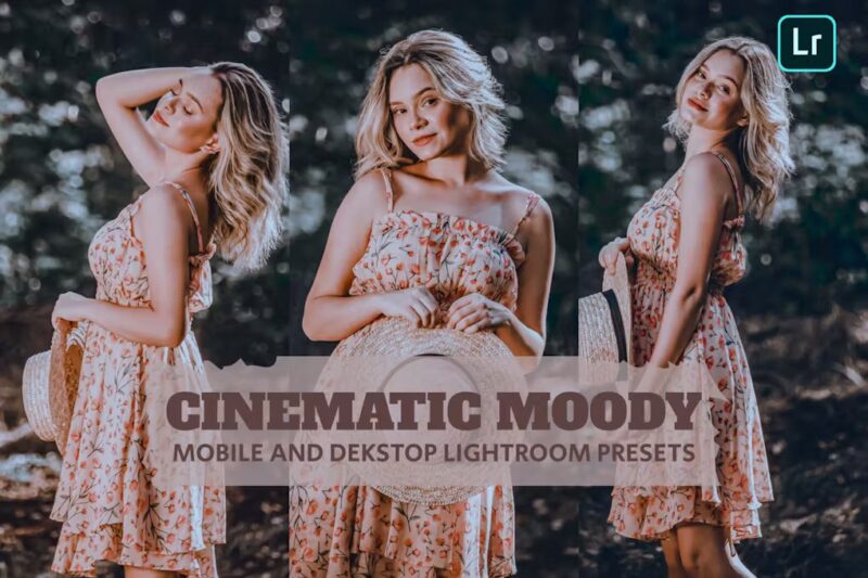 Cinematic Moody Lightroom Presets Desktop Mobile