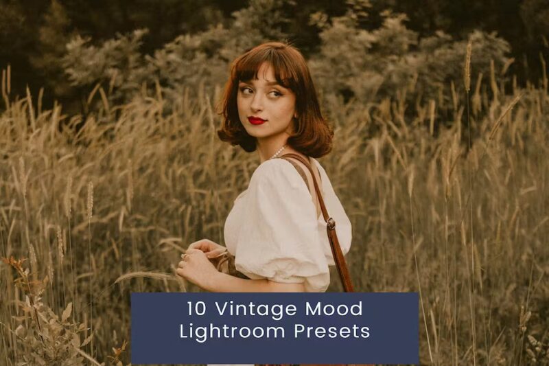 10 Vintage Mood Lightroom Presets
