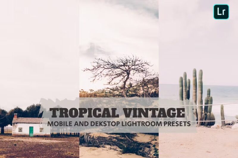 Tropical Vintage Lightroom Presets Desktop Mobile